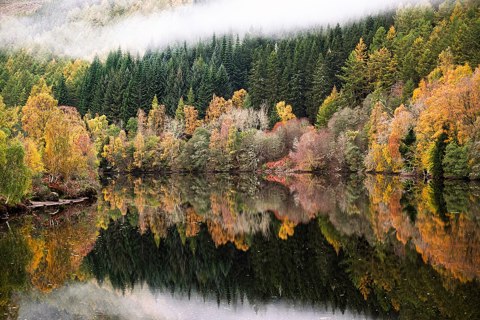 Foggy Reflections   Loch Tummel