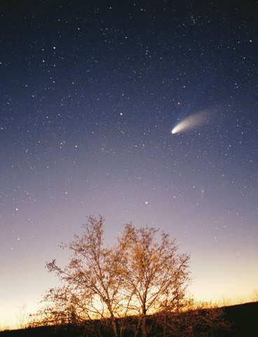 Comet Hale Bopp 29 03 1997 hires adj