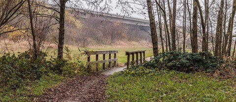 Bruggetje in fietspad naar Langweerderwielen (Langwarder Wielen) 02