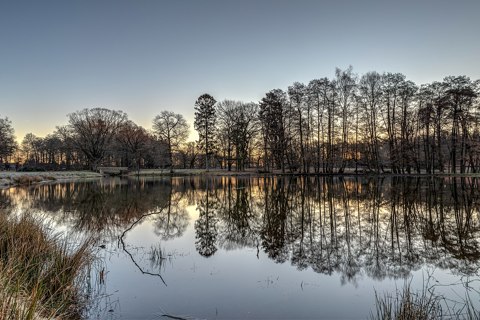 Dülmen, Wildpark    2019    3153 9