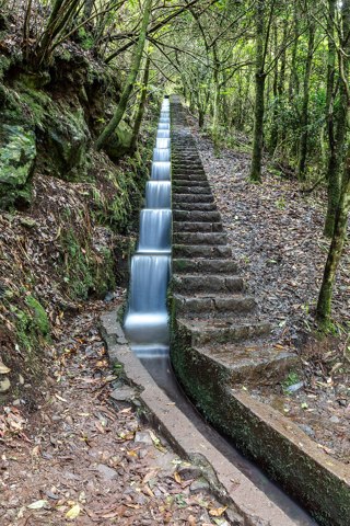 Ribeiro Frio (Madeira, Portugal), Levada zur Forellenzucht    2025    1510