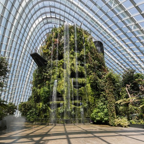 Cloud Forest, Gardens by the Bay, Singapore