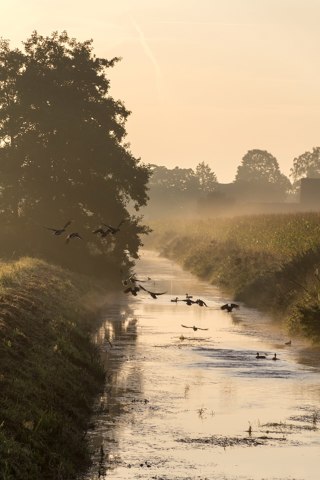 Dülmen, Umland, Sonnenaufgang    2012    8084