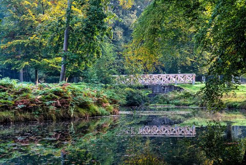 Dülmen, Wildpark    2015    8894 8