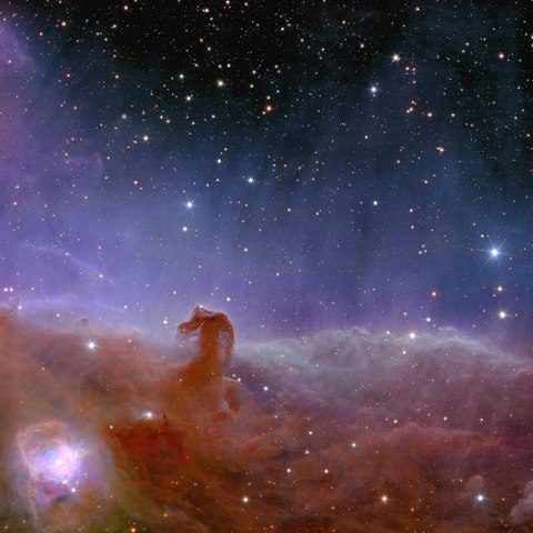 Euclid’s view of the Horsehead Nebula ESA25170866