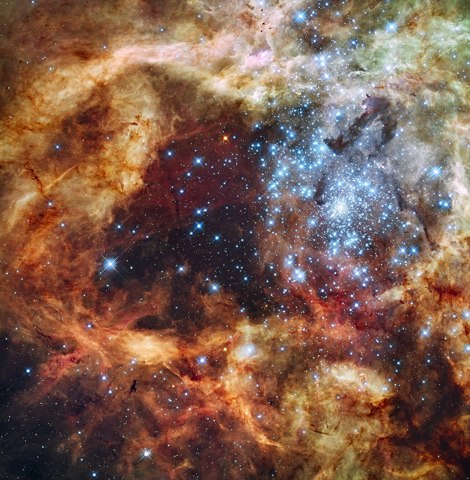 Grand star forming region R136 in NGC 2070 (captured by the Hubble Space Telescope)