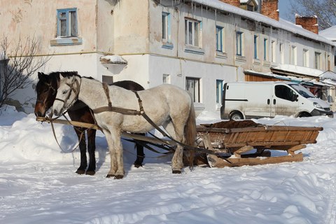 Horse drawn sleighs 2012 G1